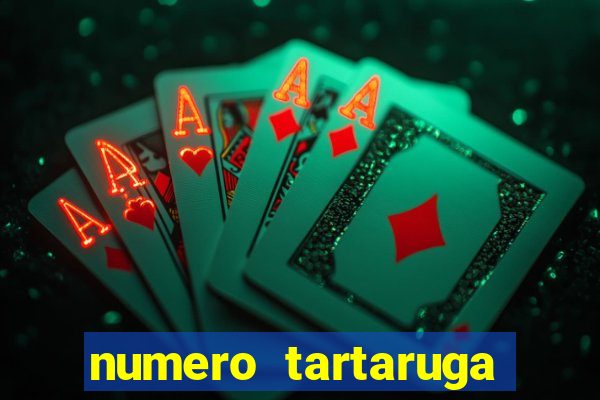 numero tartaruga jogo do bicho